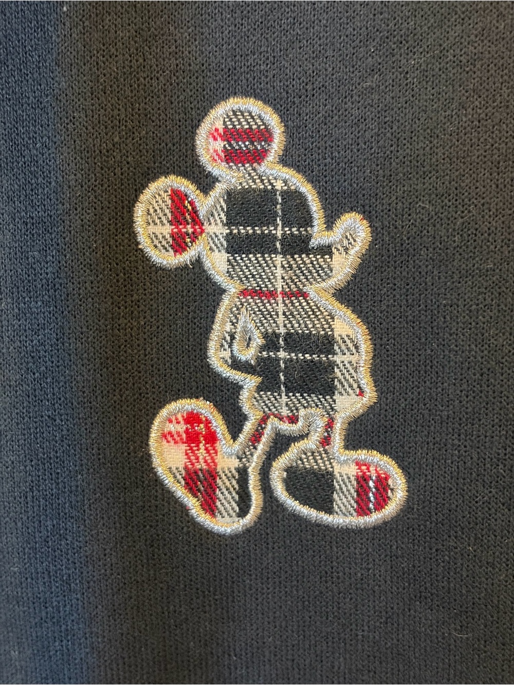 Walt Disney World Parks Plaid Lined Hoodie in Navy - Spot by Pocket - Picture 5 of 6